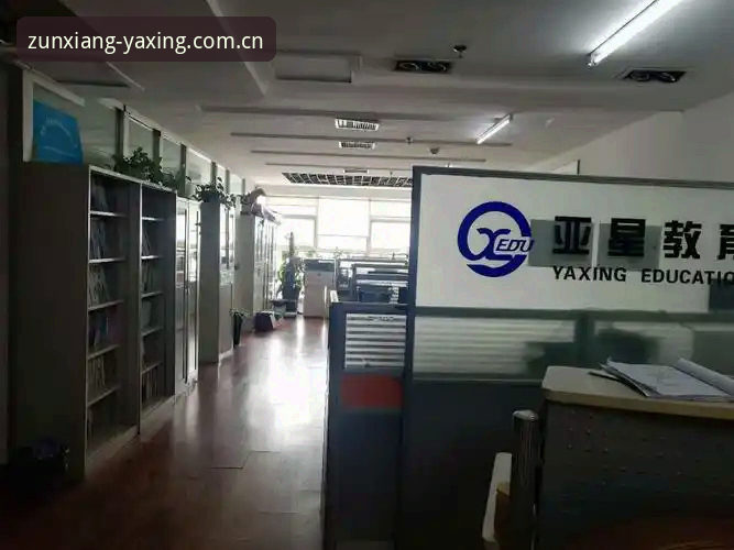 亚星YAXING使用教程：官方入口VS第三方通道，哪个更适合你？